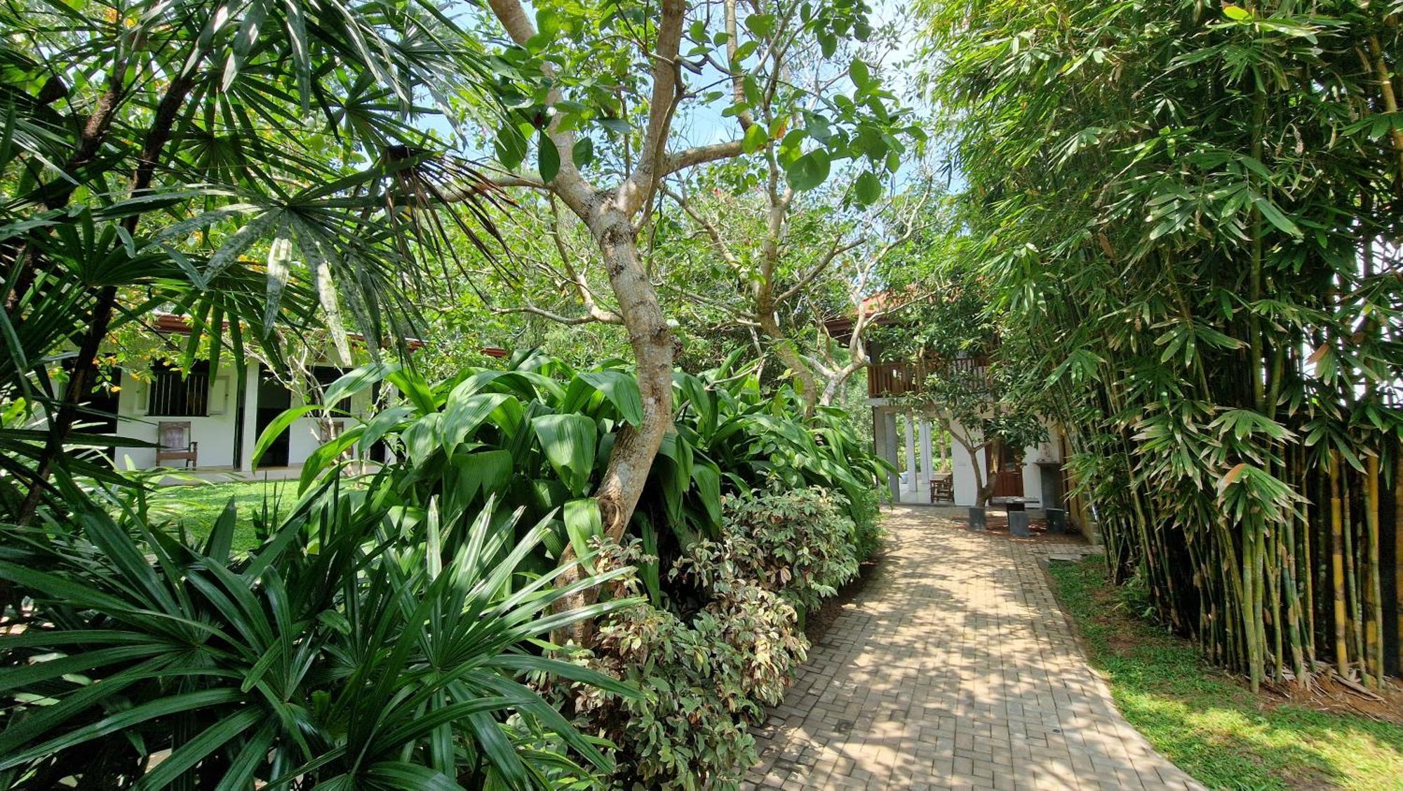 Villa Arana Bentota Exterior foto